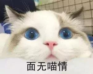 吃瓜路人的眼神,揭秘娱乐圈幕后真相