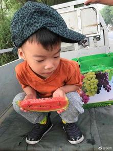 吴吃瓜,揭秘娱乐圈背后的那些事儿