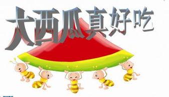 南北ppt吃瓜,一场趣味横生的社会观察