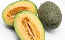 哈密瓜在什么季节吃的,哈密瓜的季节之旅