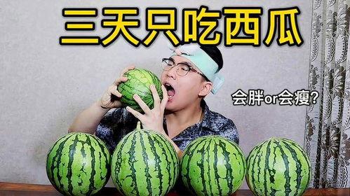 吃瓜可以减肥游戏