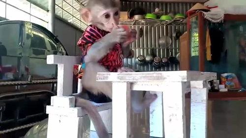 学校坐椅子上面吃瓜