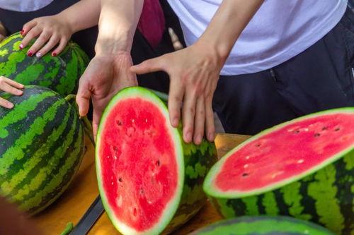 江苏学校公园吃瓜