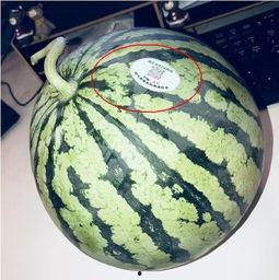 吃瓜网红太古里,太古里网红吃瓜风云录